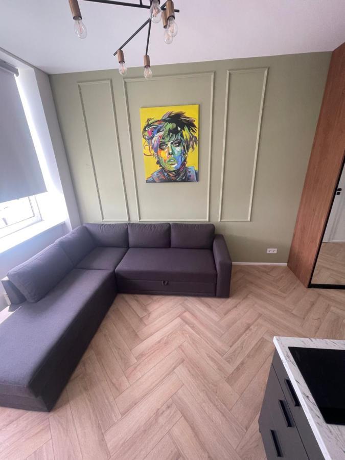 Airport Apartment 14 Self Check-In Free Parking Vilnius Luaran gambar